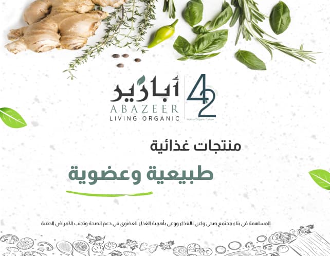 Main interface for project Abazeer Store